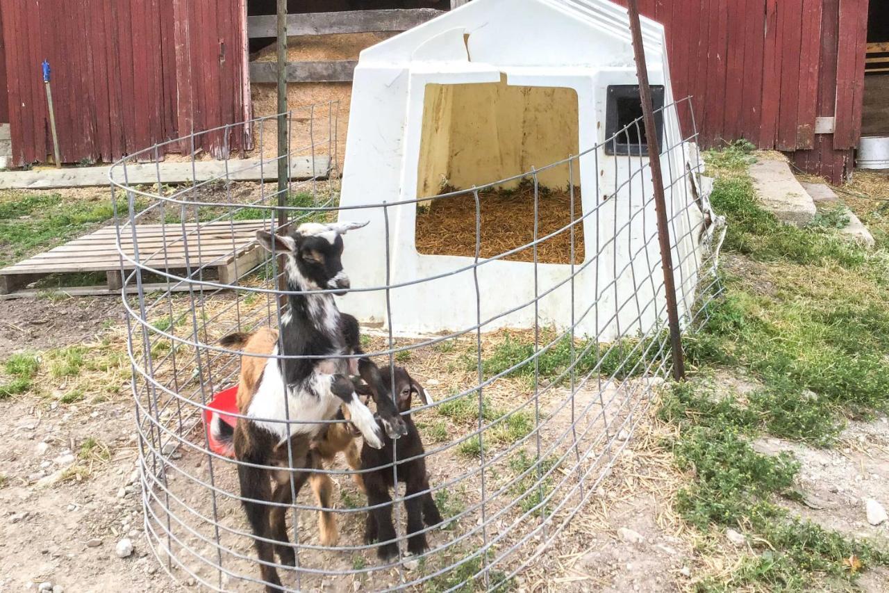 Cozy Goshen Studio Unique Farm Stay! 외부 사진